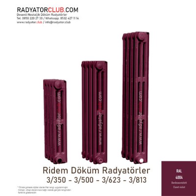 Perdeli Dokum Radyatör 3-623 23 Dilim Ral 2004 Perdeli Dokum Radyatör 3-623 23 Dilim Ral 2004